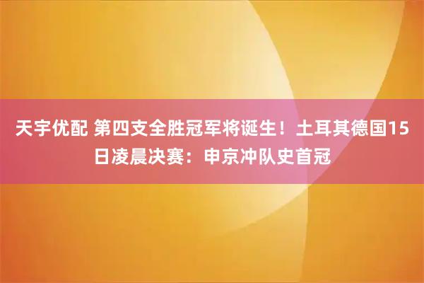 天宇优配 第四支全胜冠军将诞生！土耳其德国15日凌晨决赛：申京冲队史首冠
