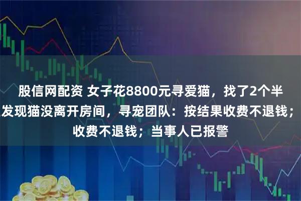 股信网配资 女子花8800元寻爱猫，找了2个半小时后，物业发现猫没离开房间，寻宠团队：按结果收费不退钱；当事人已报警