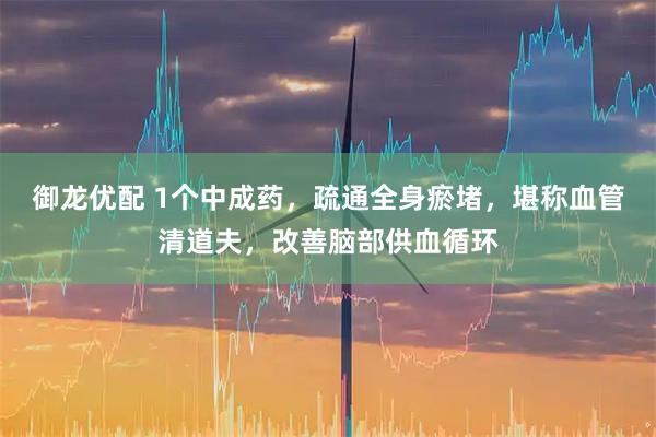 御龙优配 1个中成药，疏通全身瘀堵，堪称血管清道夫，改善脑部供血循环